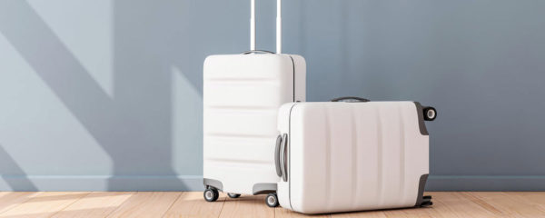 valise